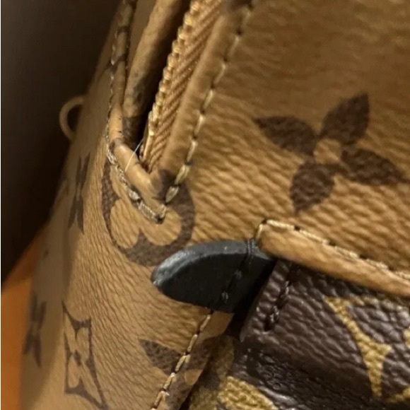 Louis Vuittan Reverse Monogram Palm Springs Mini Backpack - Picture 5 of 7